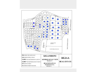 VIWANJA KIGAMBONI KIMBIJI OCEAN VIEW (BEACH PLOTS)