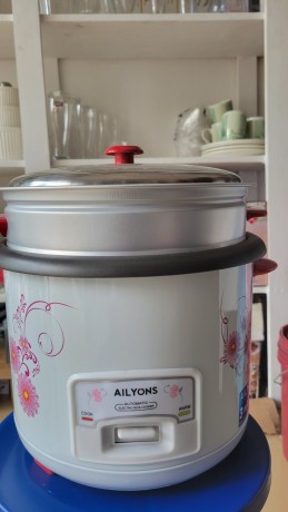 ricecooker-big-0